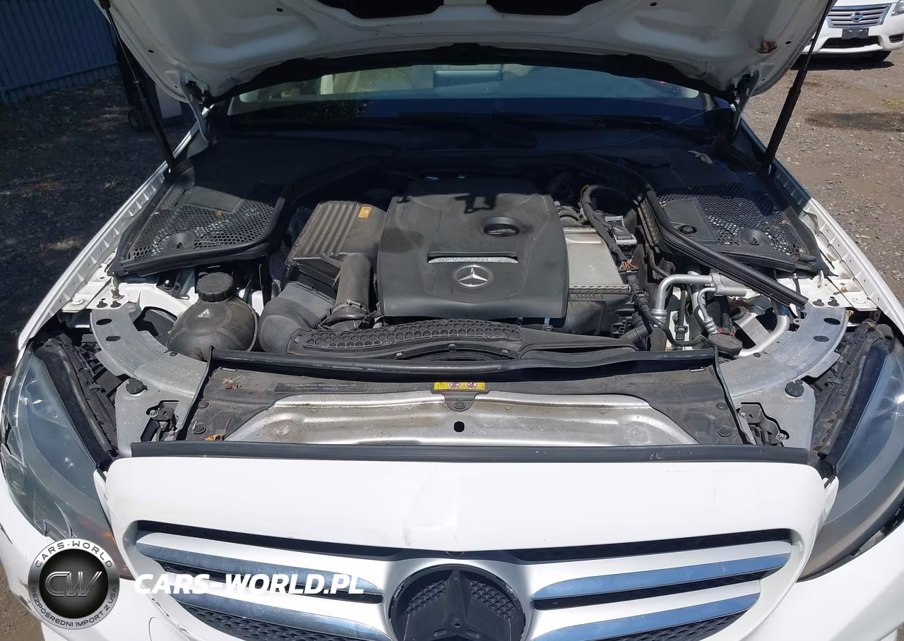 2017 Mercedes-Benz C 300 4Matic VIN:55SWF4KB1HU206728 - 10