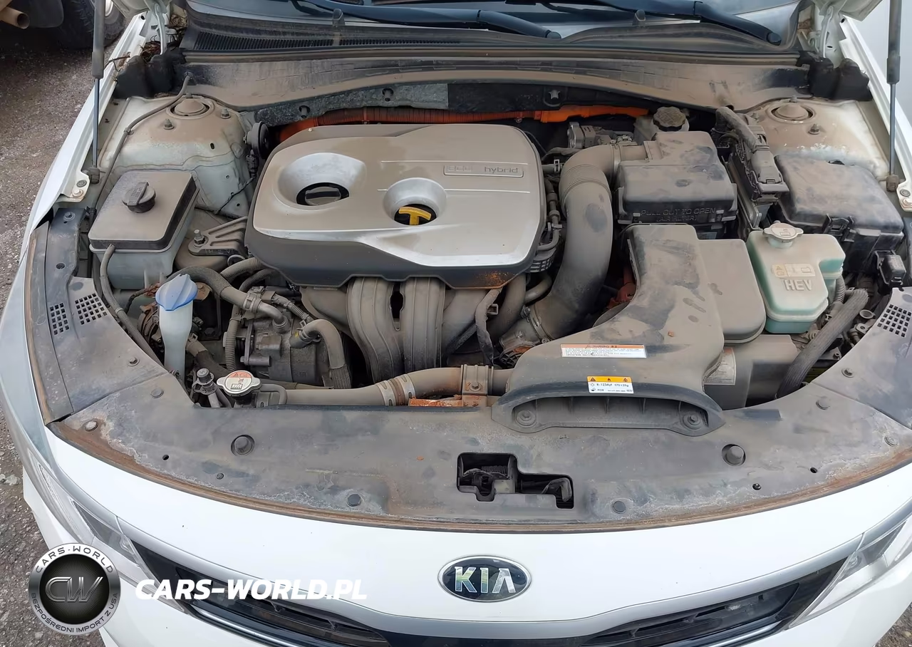 2017 Kia Optima Hybrid VIN:KNAGT4LE5H5012399 - 10