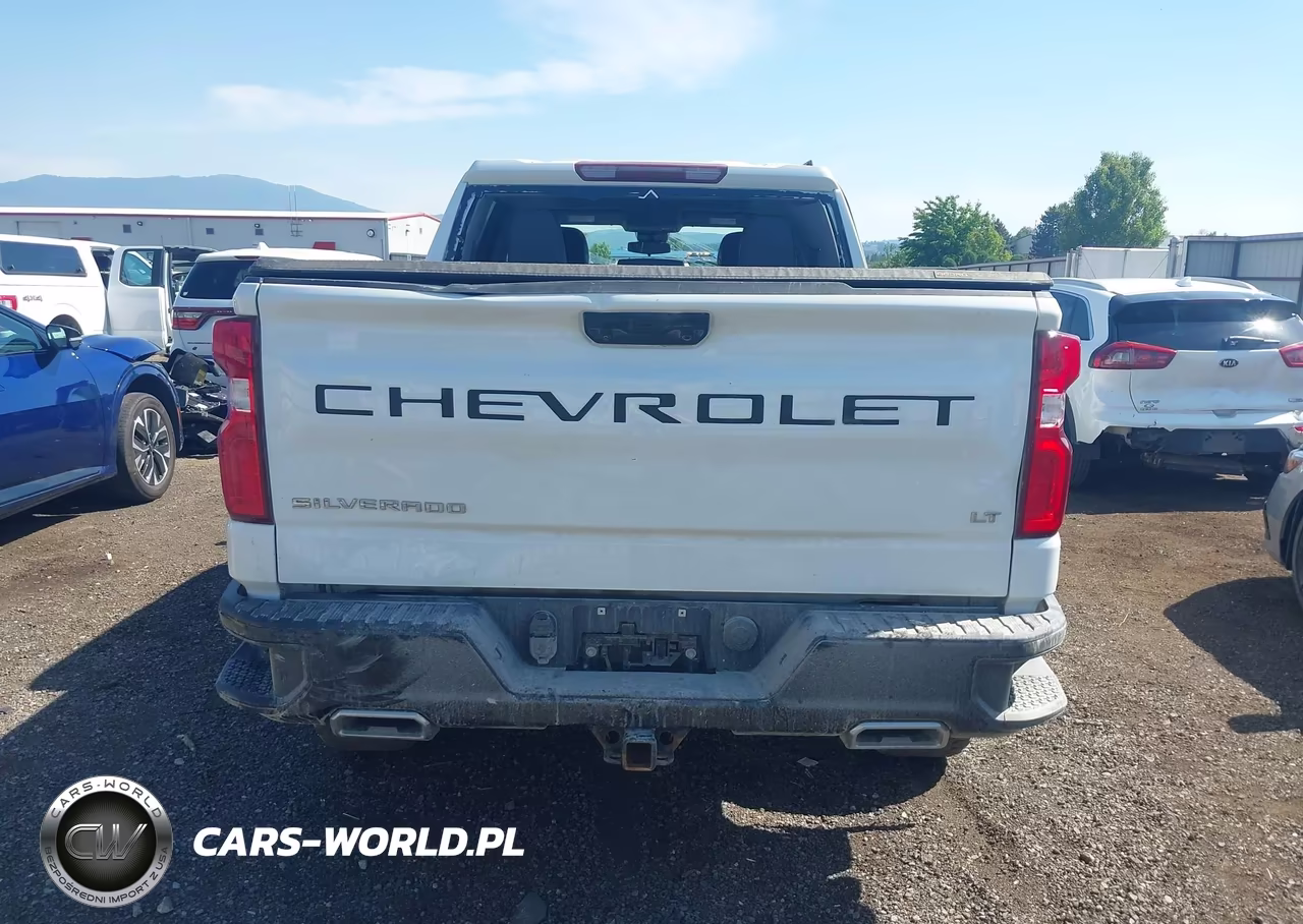 2023 Chevrolet Silverado 1500 4Wd Short Bed Lt Trail Boss VIN:3GCUDFE84PG109462 - 17
