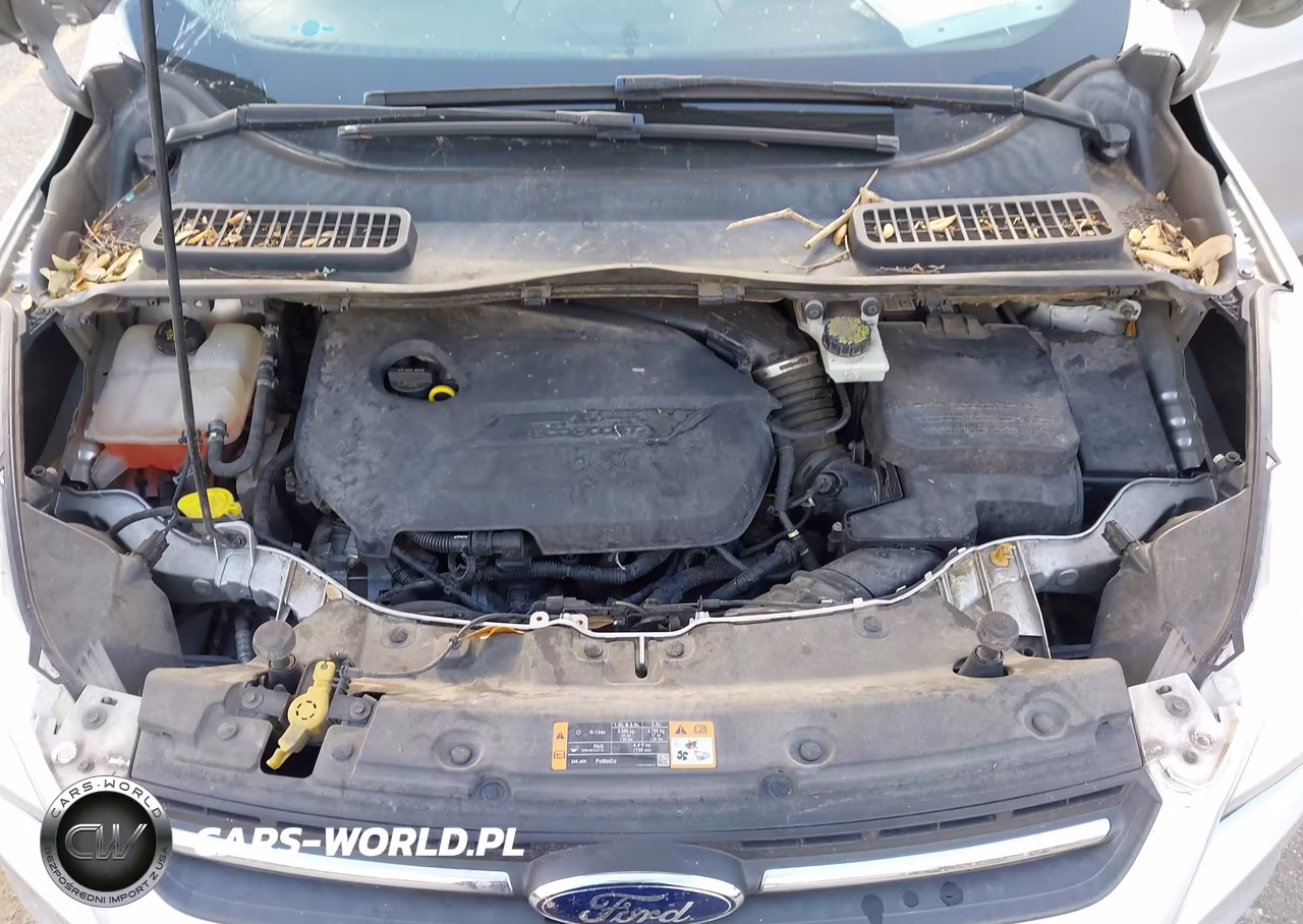 2014 Ford Escape Se VIN:1FMCU0GXXEUB76392 - 10