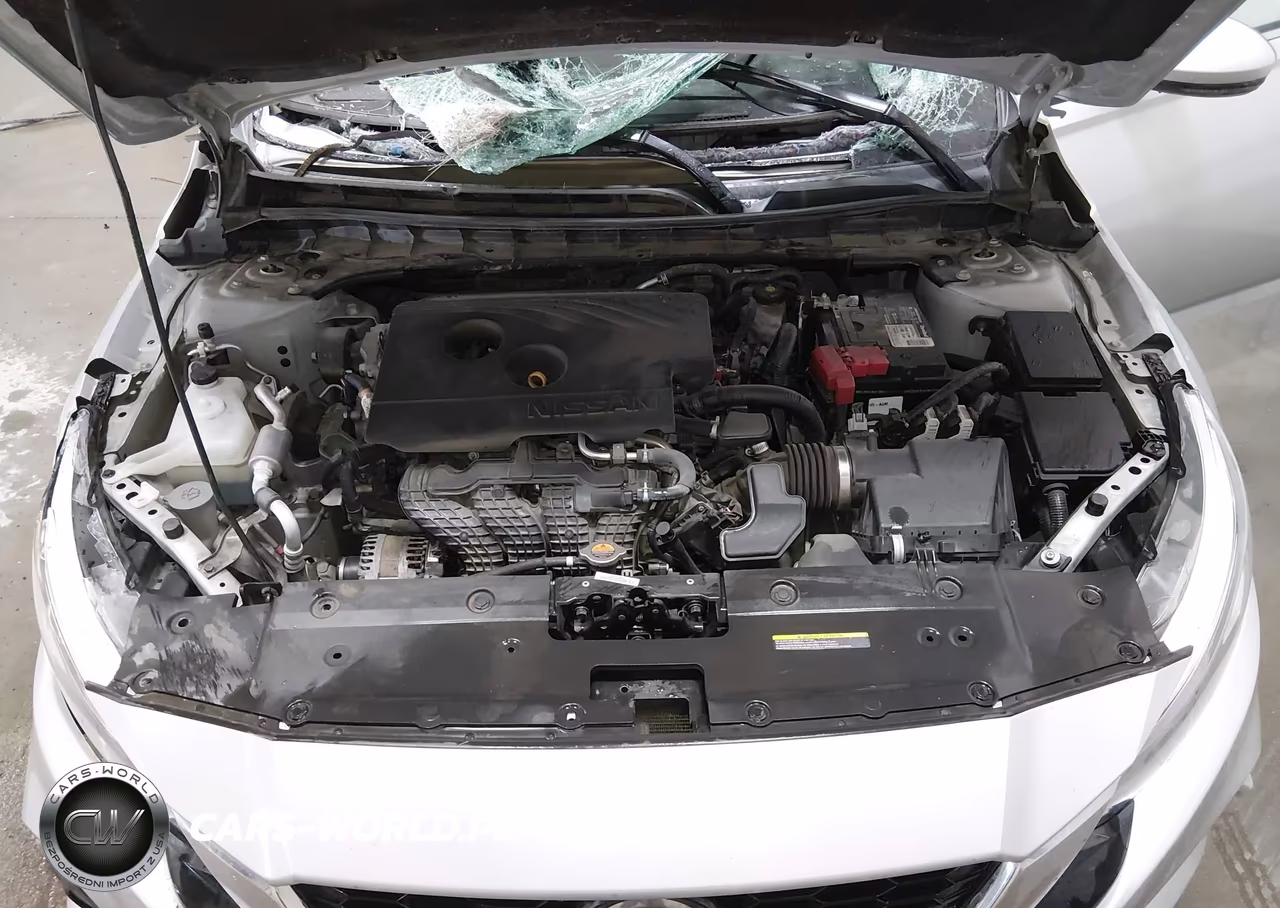 2019 Nissan Altima 2.5 Sl VIN:1N4BL4EW5KC178658 - 10