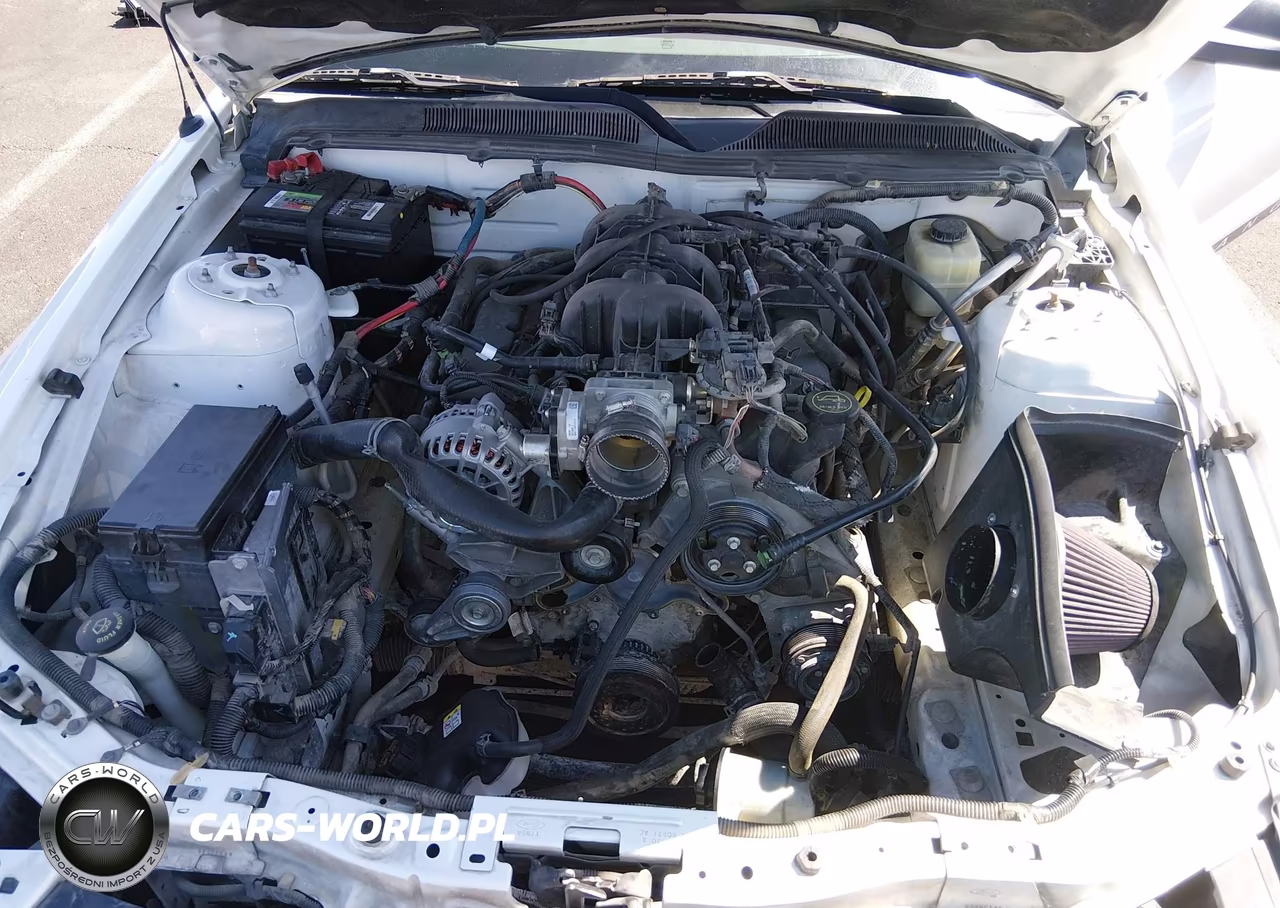 2007 Ford Mustang V6 Deluxe-V6 Premium VIN:1ZVFT84N275196541 - 10