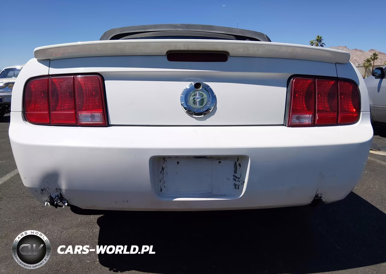 2007 Ford Mustang V6 Deluxe-V6 Premium VIN:1ZVFT84N275196541 - 6