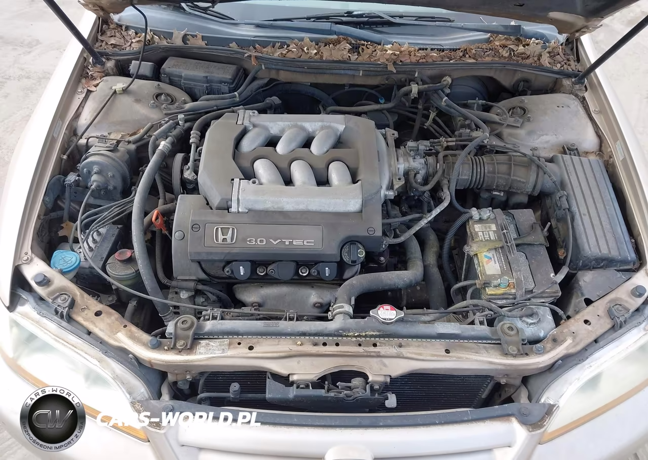2002 Honda Accord 3.0 Ex VIN:1HGCG16572A060406 - 10