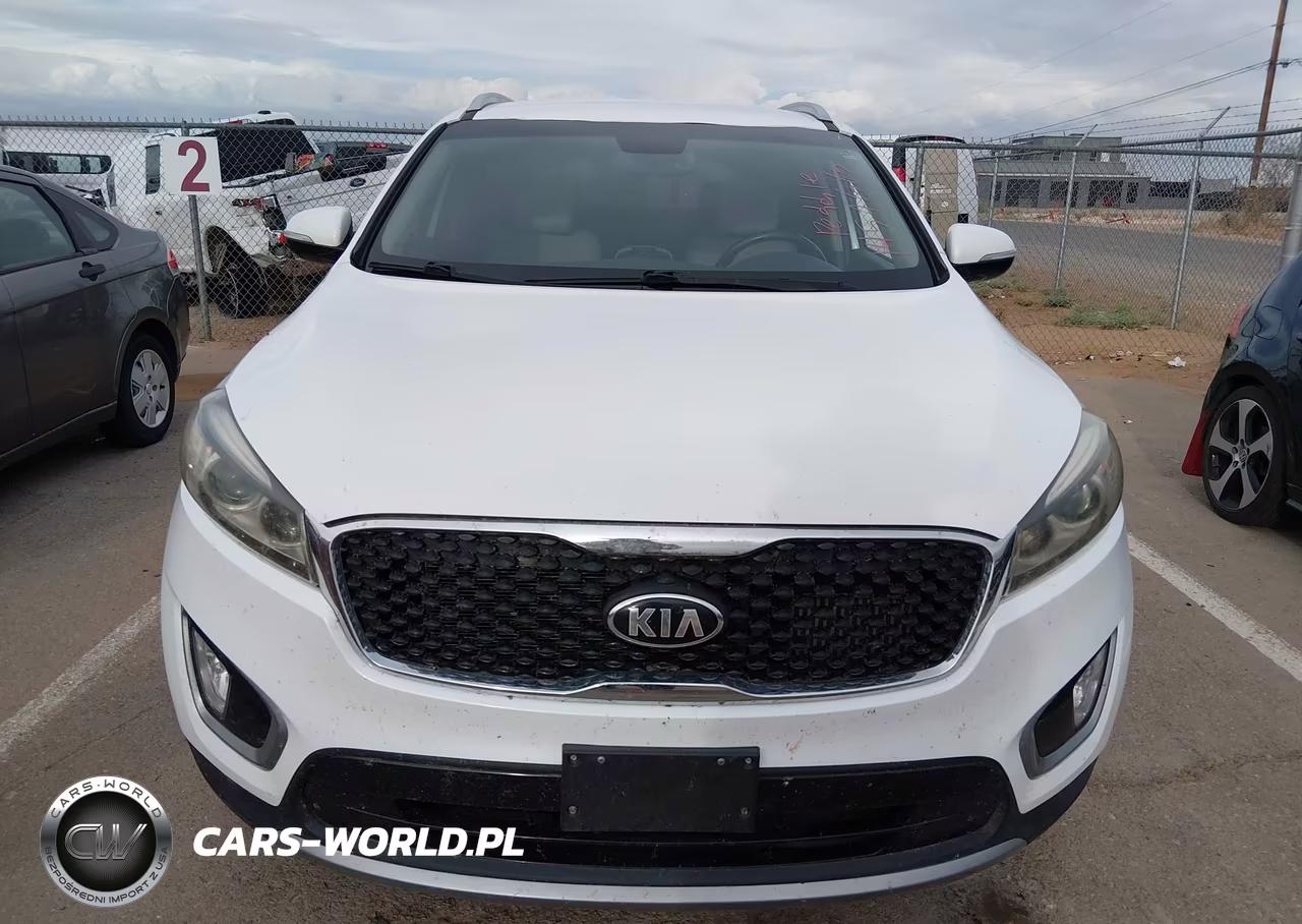 2017 Kia Sorento 2.0T Ex VIN:5XYPH4A14HG244584 - 12
