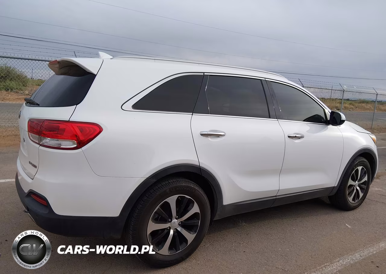 2017 Kia Sorento 2.0T Ex VIN:5XYPH4A14HG244584 - 13