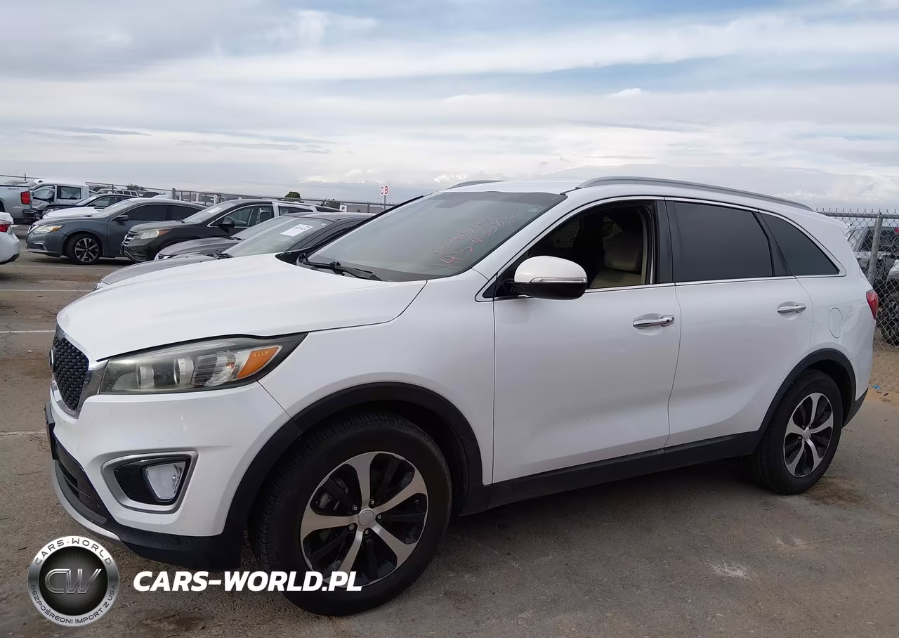 2017 Kia Sorento 2.0T Ex VIN:5XYPH4A14HG244584 - 14