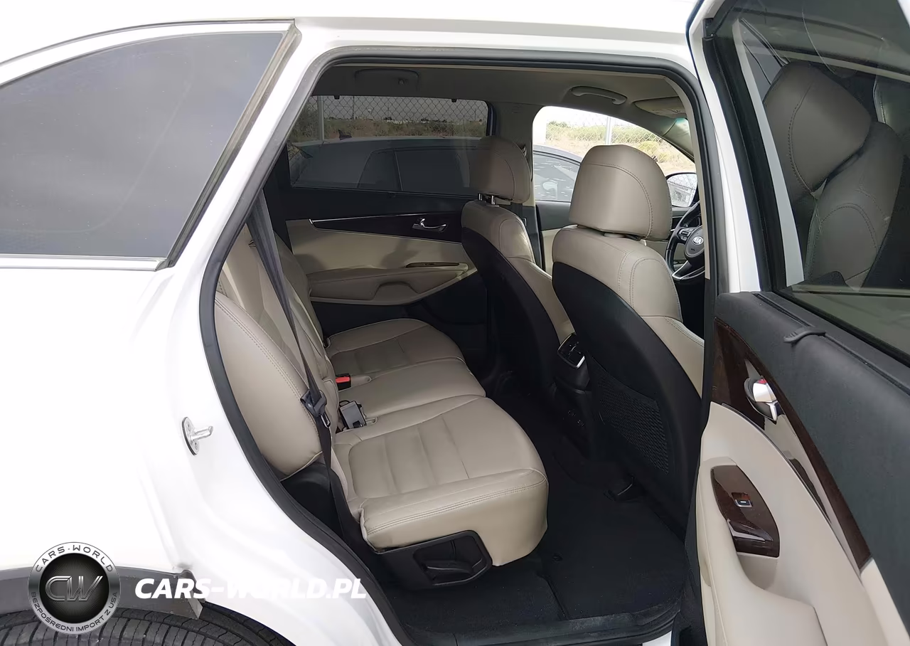 2017 Kia Sorento 2.0T Ex VIN:5XYPH4A14HG244584 - 8