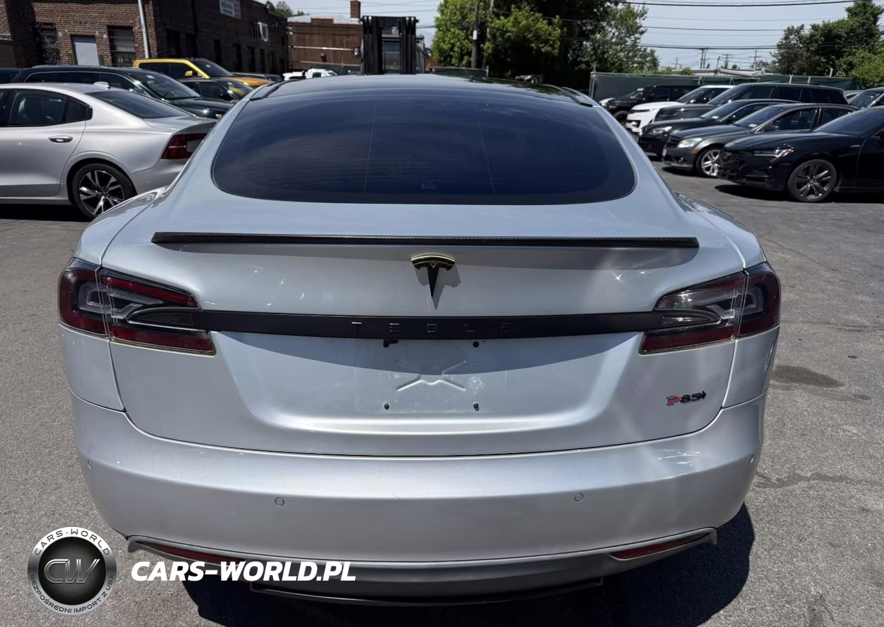 2013 Tesla Model S Performance VIN:5YJSA1CP7DFP24912 - 12