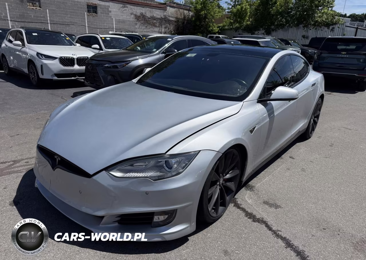 2013 Tesla Model S Performance VIN:5YJSA1CP7DFP24912 - 2