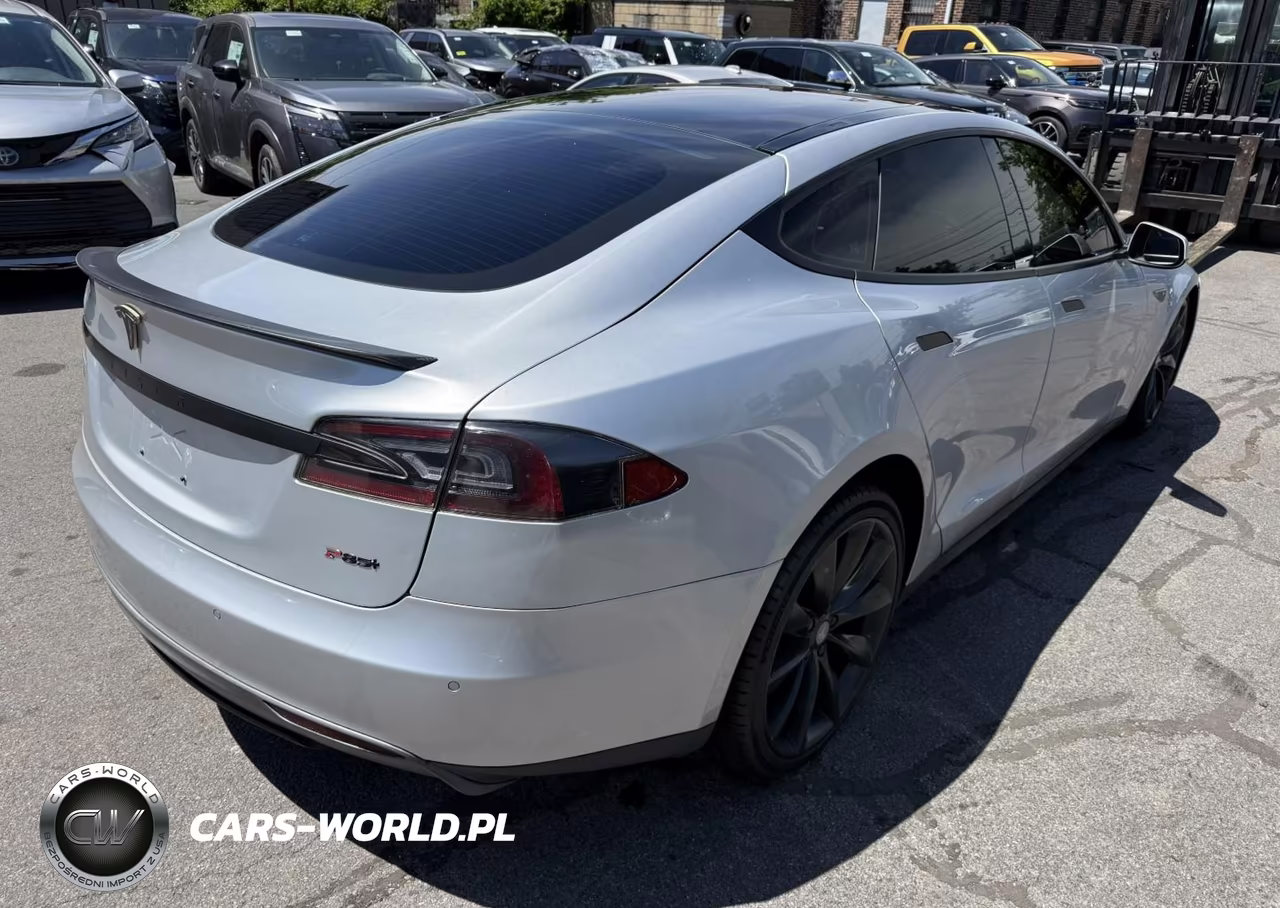 2013 Tesla Model S Performance VIN:5YJSA1CP7DFP24912 - 4