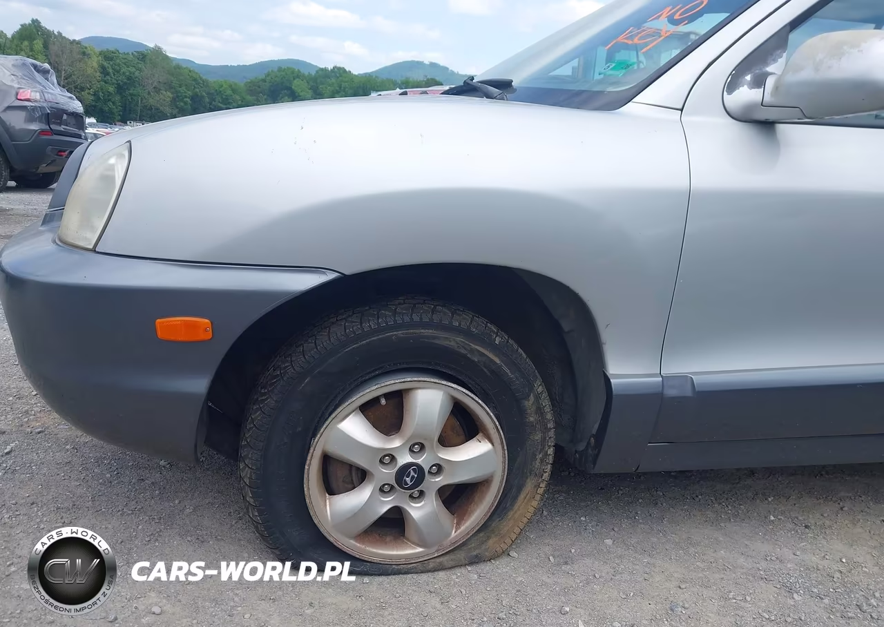 2006 Hyundai Santa Fe Gls-Limited VIN:KM8SC73E26U095576 - 18