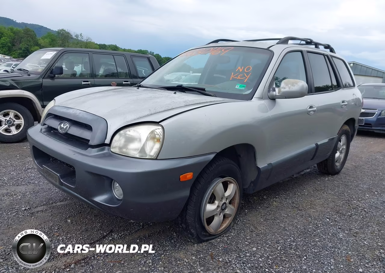 2006 Hyundai Santa Fe Gls-Limited VIN:KM8SC73E26U095576 - 6