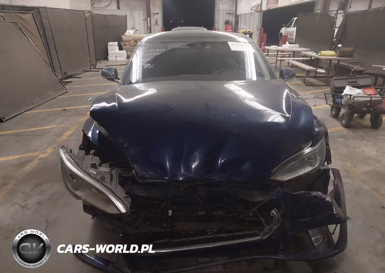 2016 Tesla Model S 90D-P100D-P85D-P90D VIN:5YJSA1E44GF134304 - 10