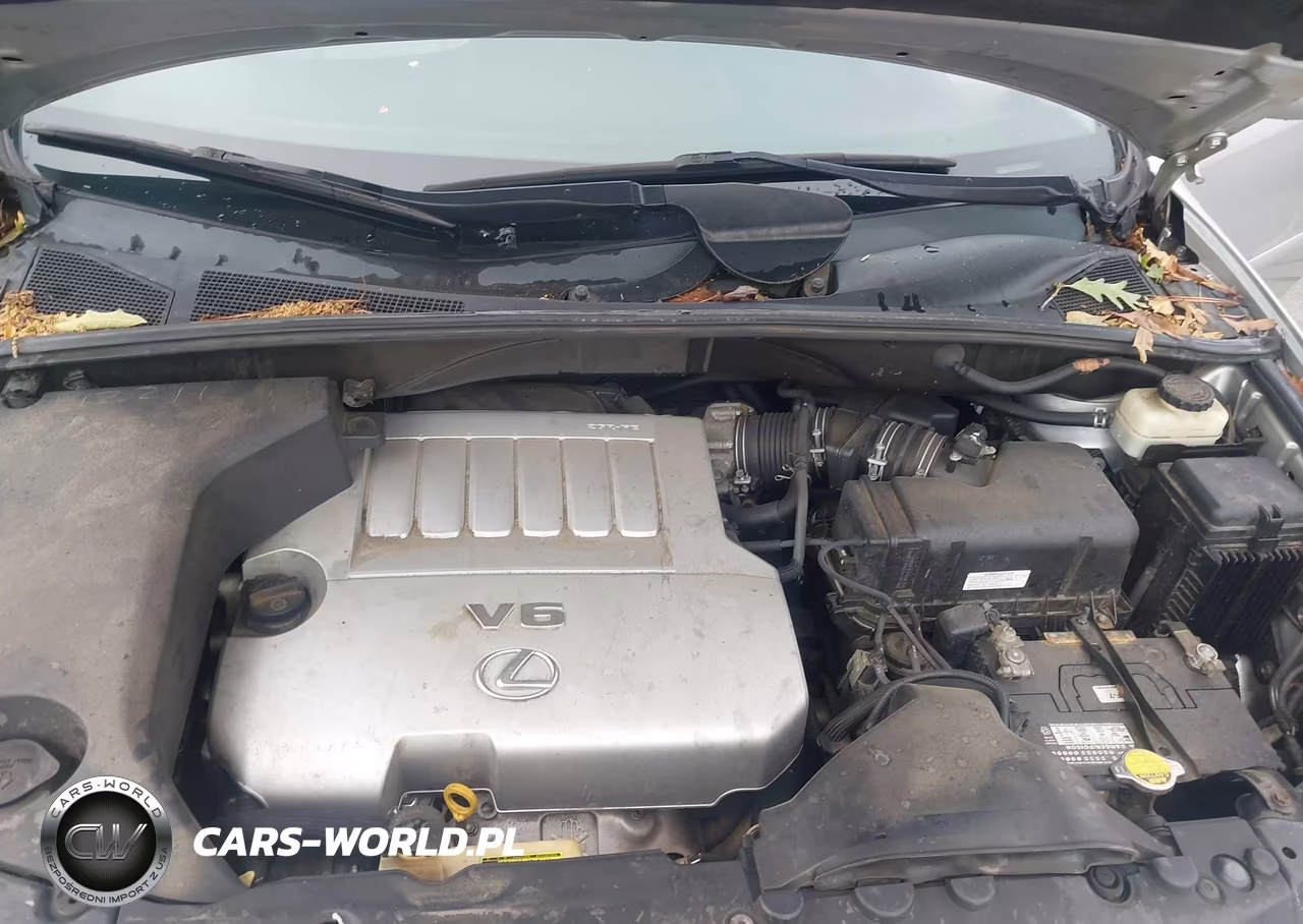 2009 Lexus Rx 350 VIN:2T2GK31UX9C061026 - 10