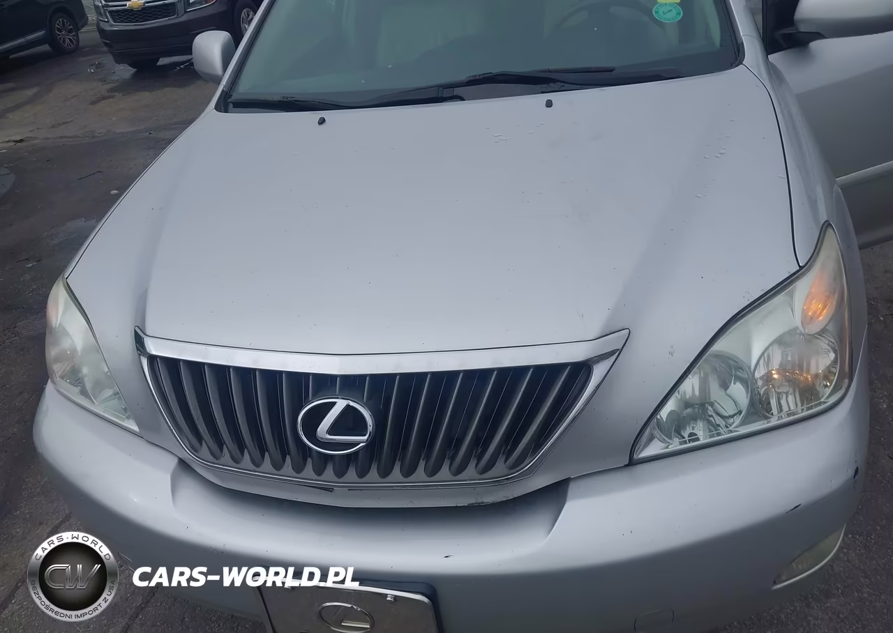 2009 Lexus Rx 350 VIN:2T2GK31UX9C061026 - 6