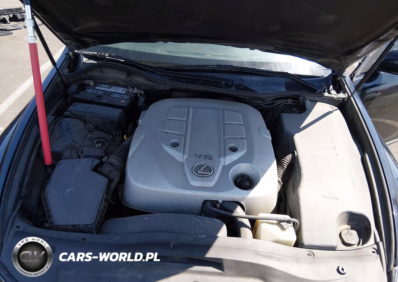 2006 Lexus Gs 300 VIN:JTHBH96S765003695 - 10