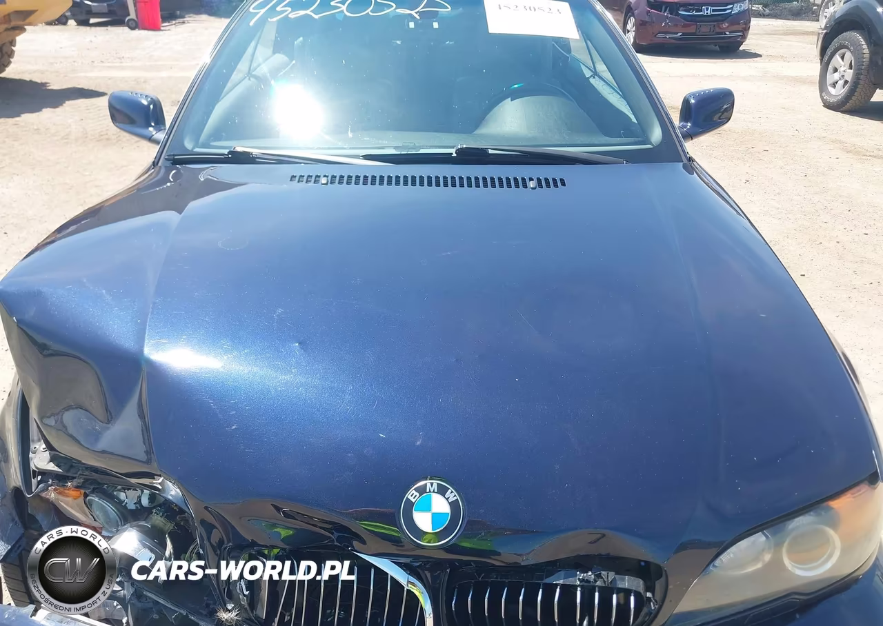 2004 BMW 330Ci VIN:WBABW53404PL45817 - 10