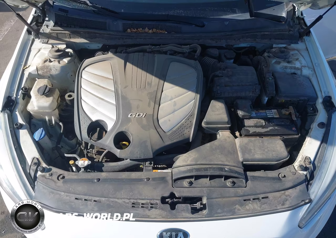 2014 Kia Cadenza Premium VIN:KNALN4D75E5152781 - 10