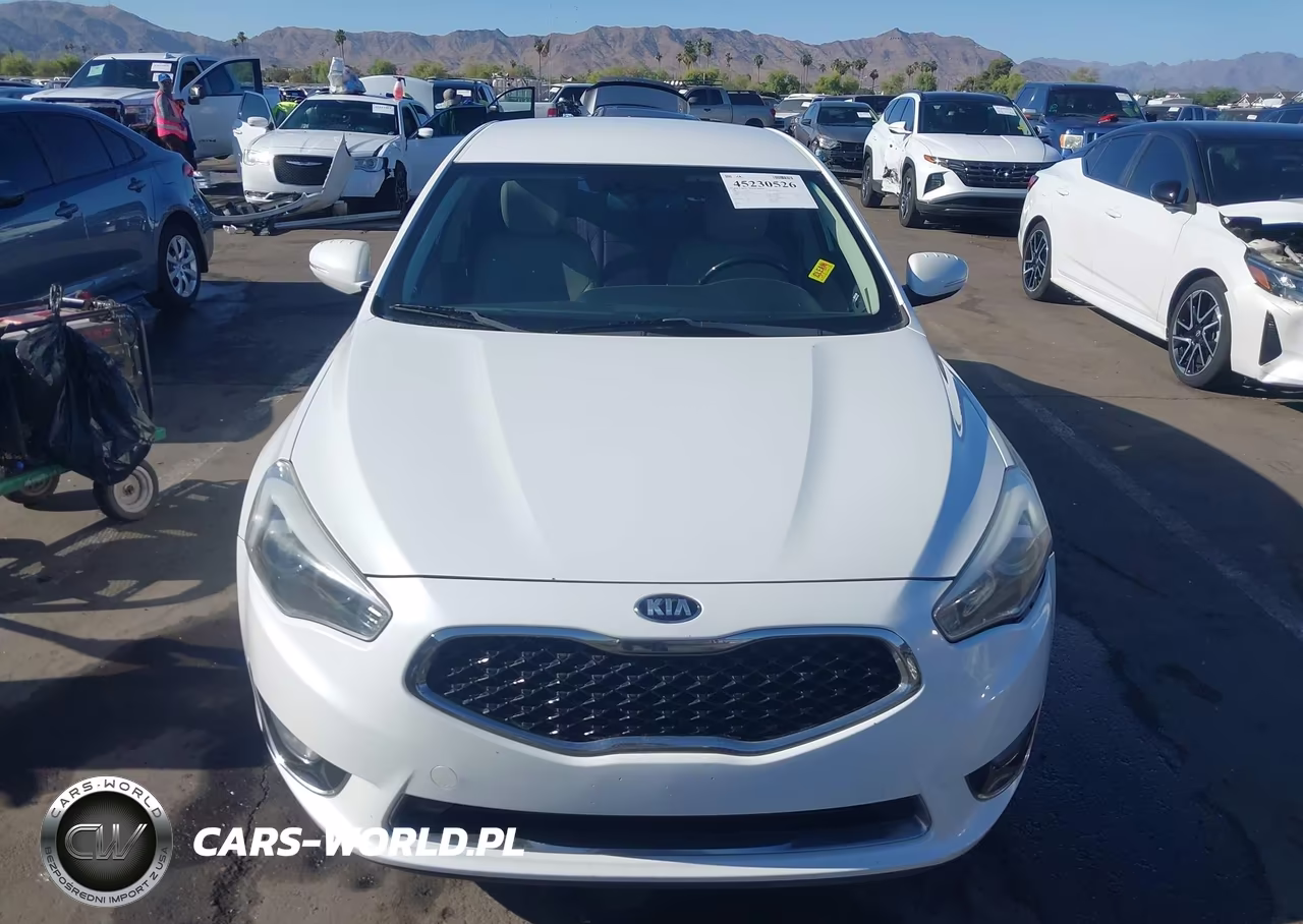 2014 Kia Cadenza Premium VIN:KNALN4D75E5152781 - 13
