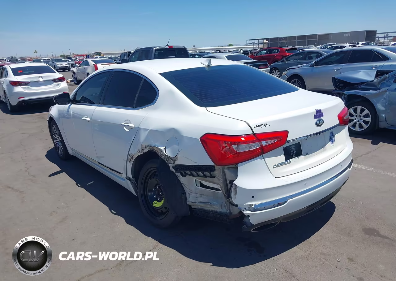 2014 Kia Cadenza Premium VIN:KNALN4D75E5152781 - 6
