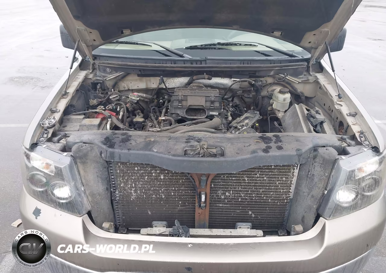2006 Ford F-150 Fx4-Lariat-Xl-Xlt VIN:1FTPX14596FA69491 - 10