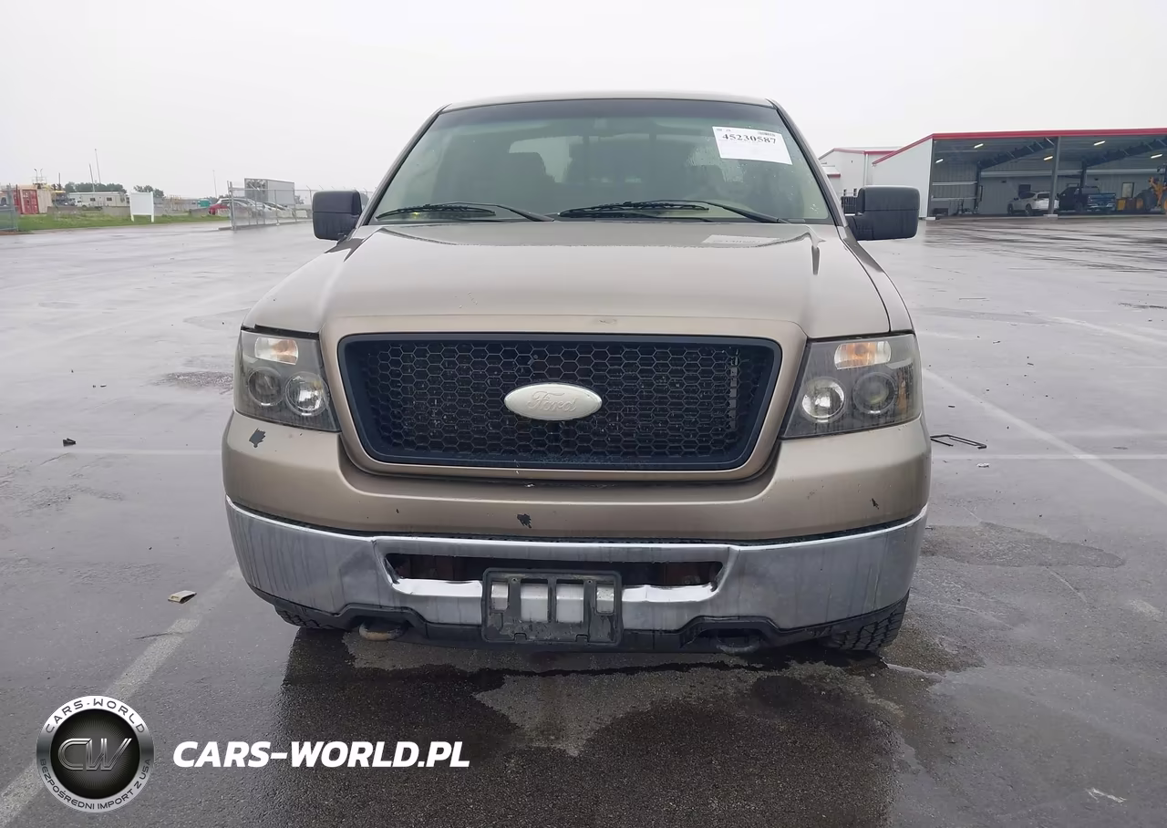 2006 Ford F-150 Fx4-Lariat-Xl-Xlt VIN:1FTPX14596FA69491 - 6