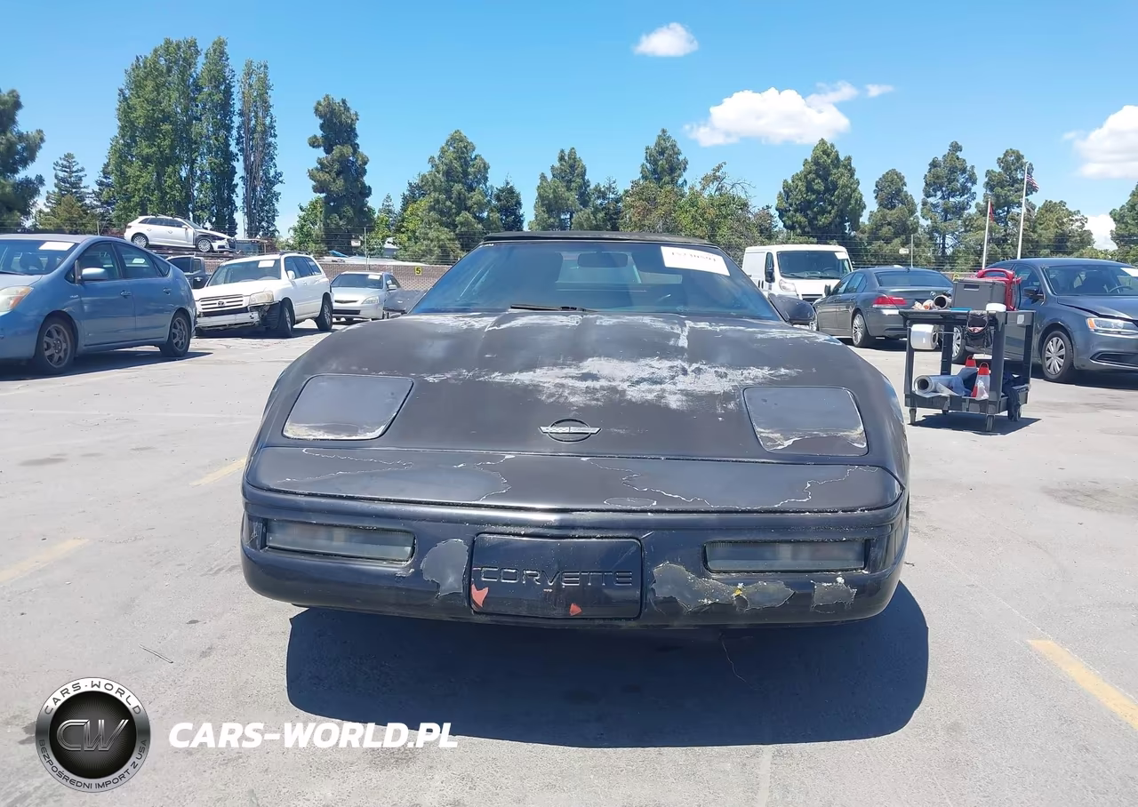 1996 Chevrolet Corvette VIN:1G1YY32PXT5118435 - 12