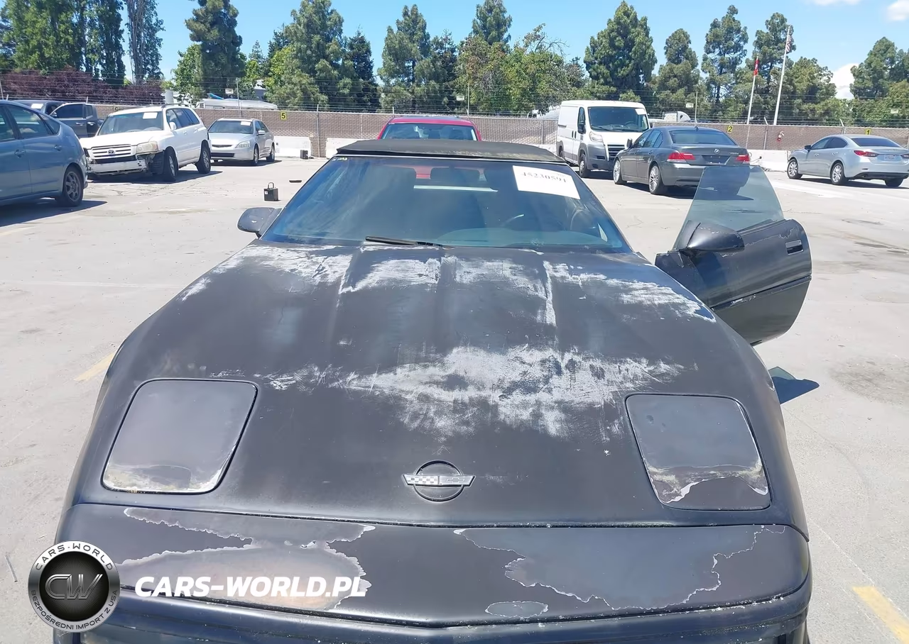 1996 Chevrolet Corvette VIN:1G1YY32PXT5118435 - 6