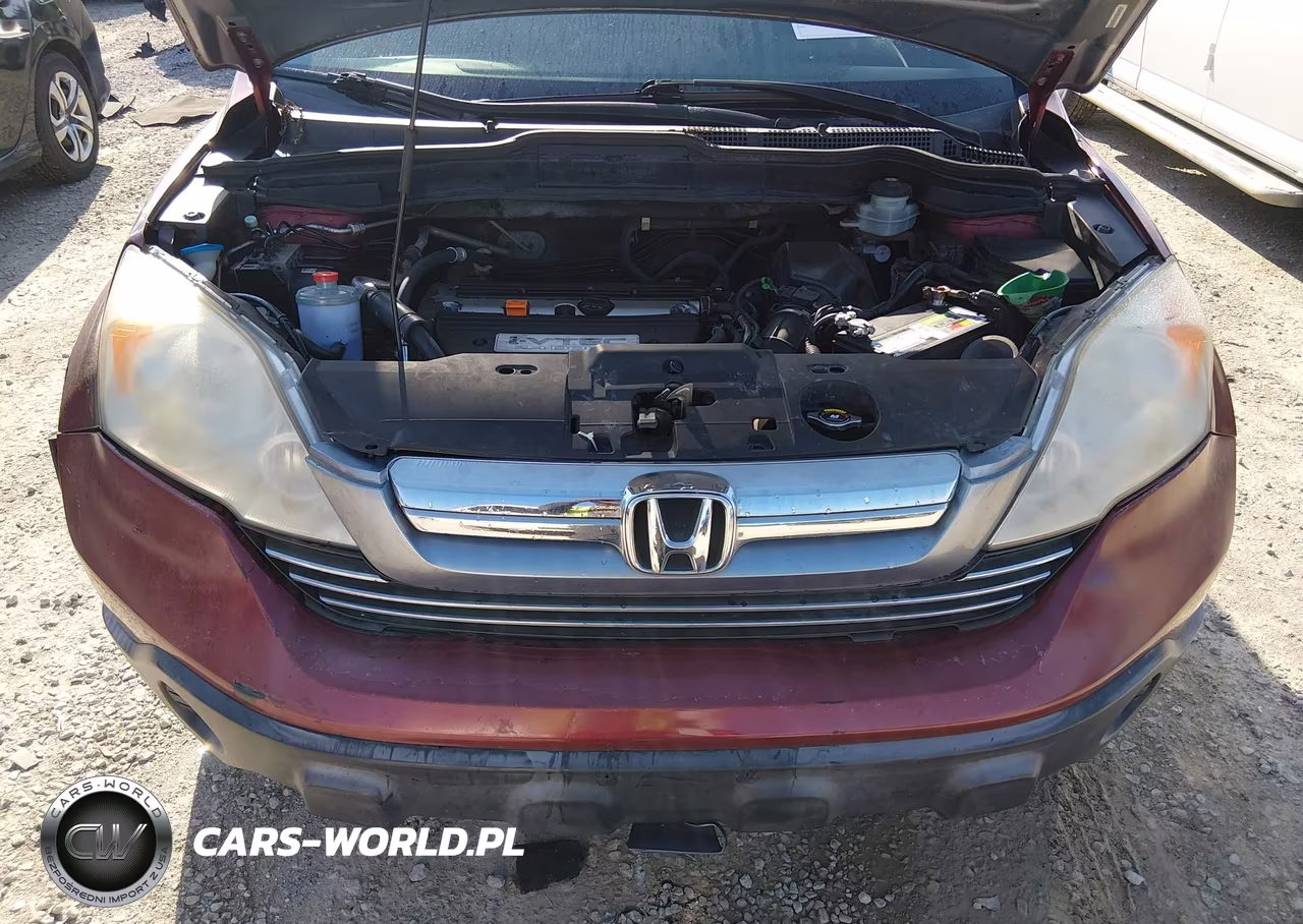 2007 Honda Cr-V Ex-L VIN:JHLRE38717C005215 - 10