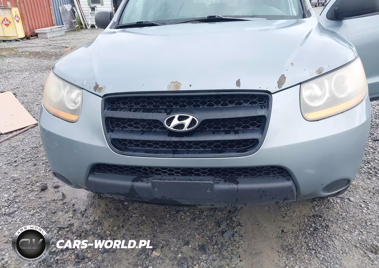 2009 Hyundai Santa Fe Gls VIN:5NMSG13D49H232347 - 6