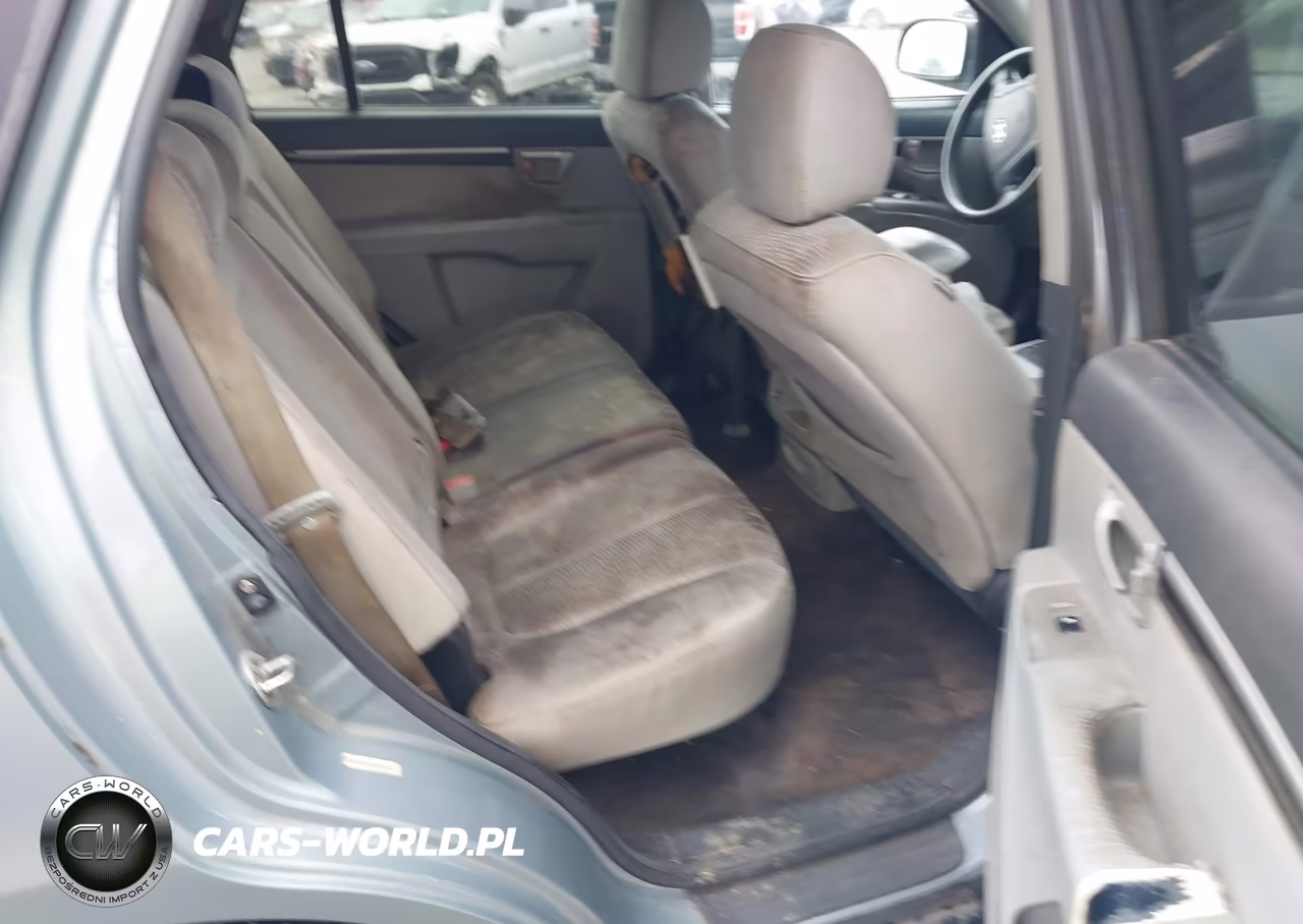 2009 Hyundai Santa Fe Gls VIN:5NMSG13D49H232347 - 8