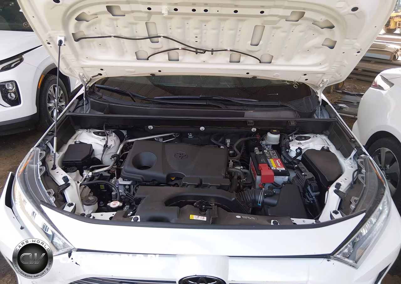 2019 Toyota Rav4 Limited VIN:JTMY1RFV1KD019708 - 10