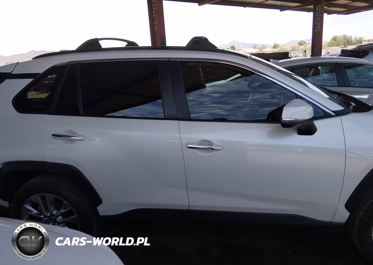 2019 Toyota Rav4 Limited VIN:JTMY1RFV1KD019708 - 13