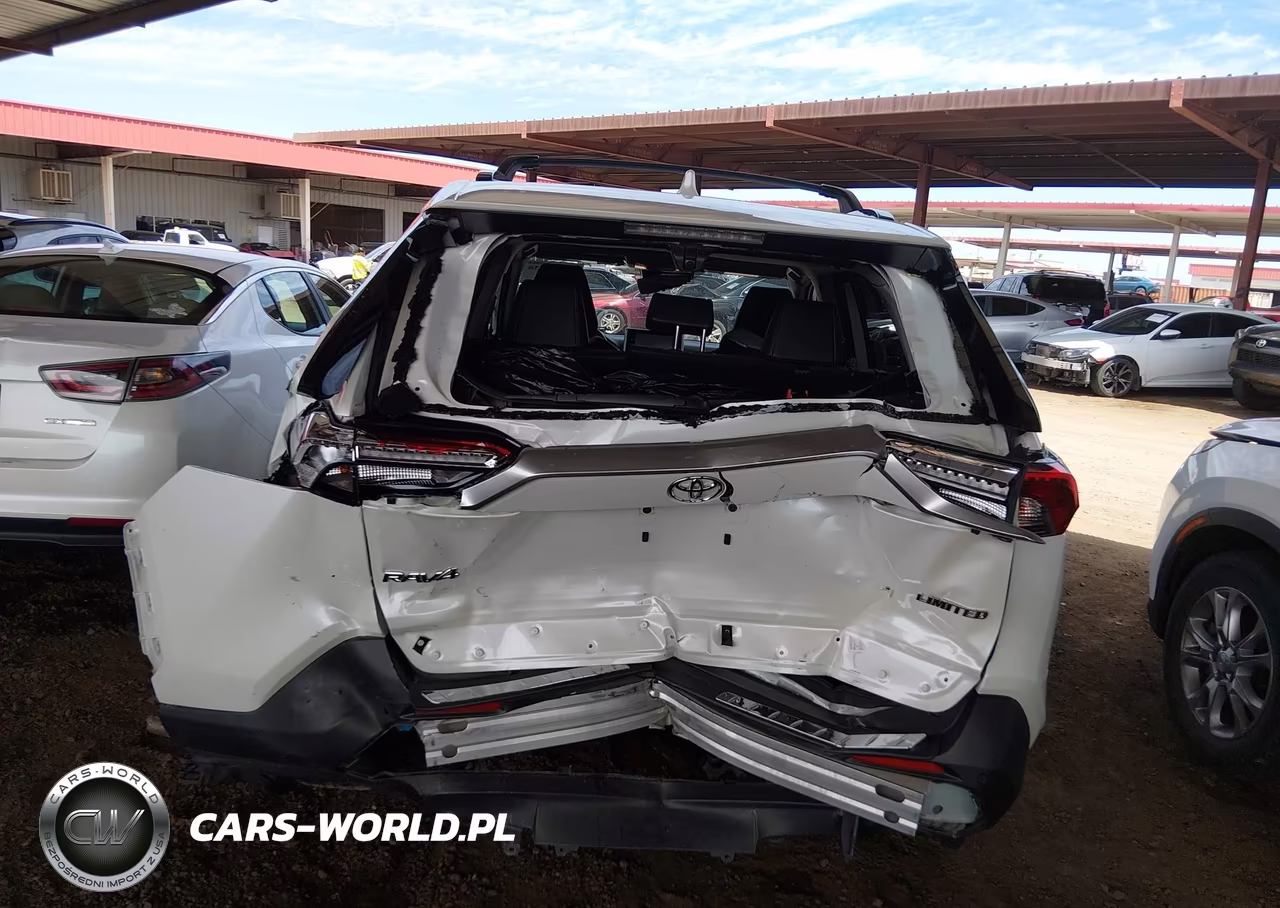 2019 Toyota Rav4 Limited VIN:JTMY1RFV1KD019708 - 6