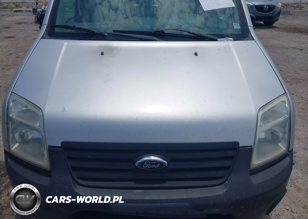 2013 Ford Transit Connect Xl VIN:NM0LS6AN3DT142526 - 10