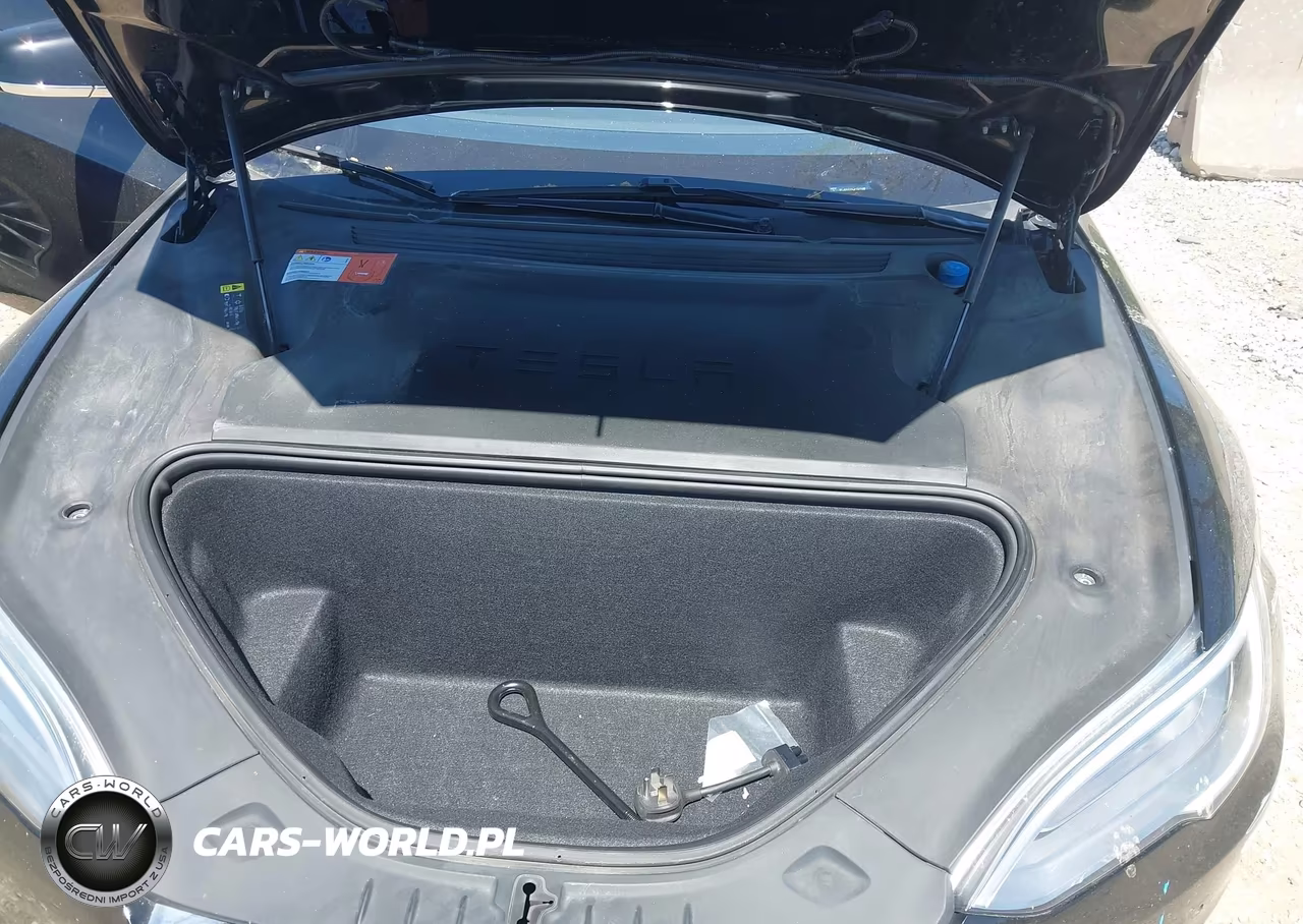 2018 Tesla Model S 100D-75D-P100D VIN:5YJSA1E2XJF252489 - 10