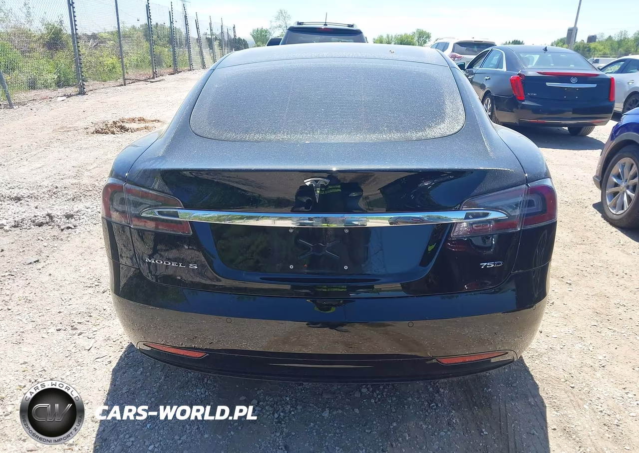 2018 Tesla Model S 100D-75D-P100D VIN:5YJSA1E2XJF252489 - 16