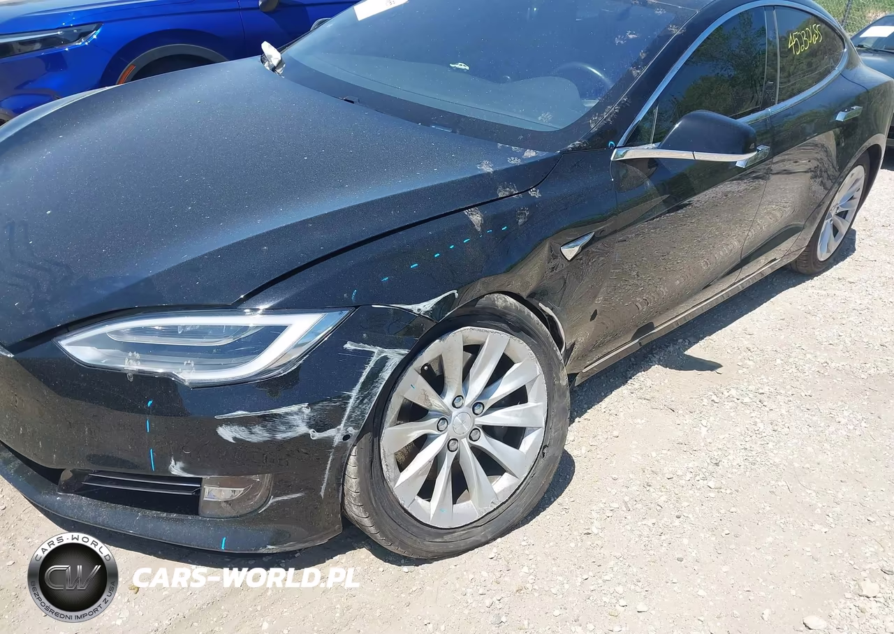 2018 Tesla Model S 100D-75D-P100D VIN:5YJSA1E2XJF252489 - 19