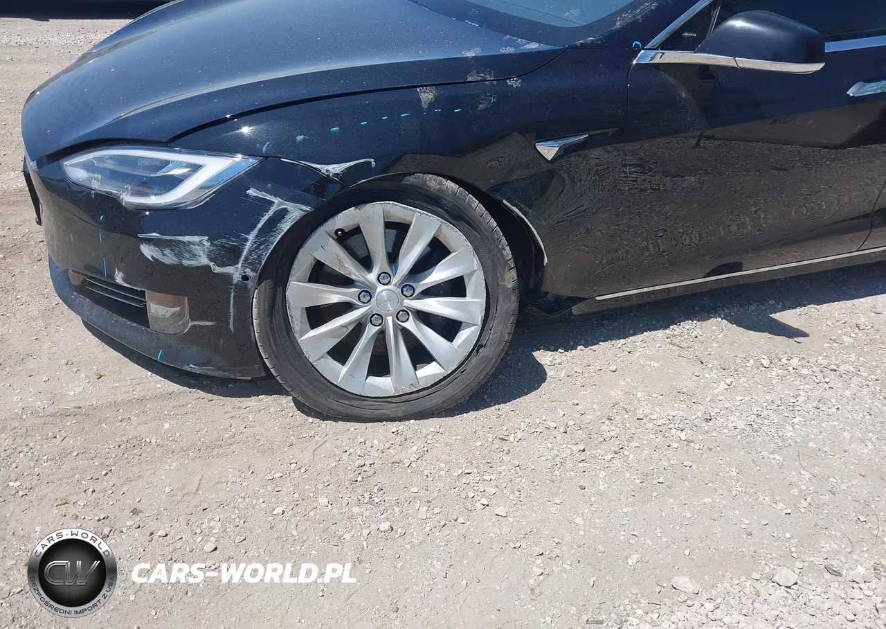 2018 Tesla Model S 100D-75D-P100D VIN:5YJSA1E2XJF252489 - 6