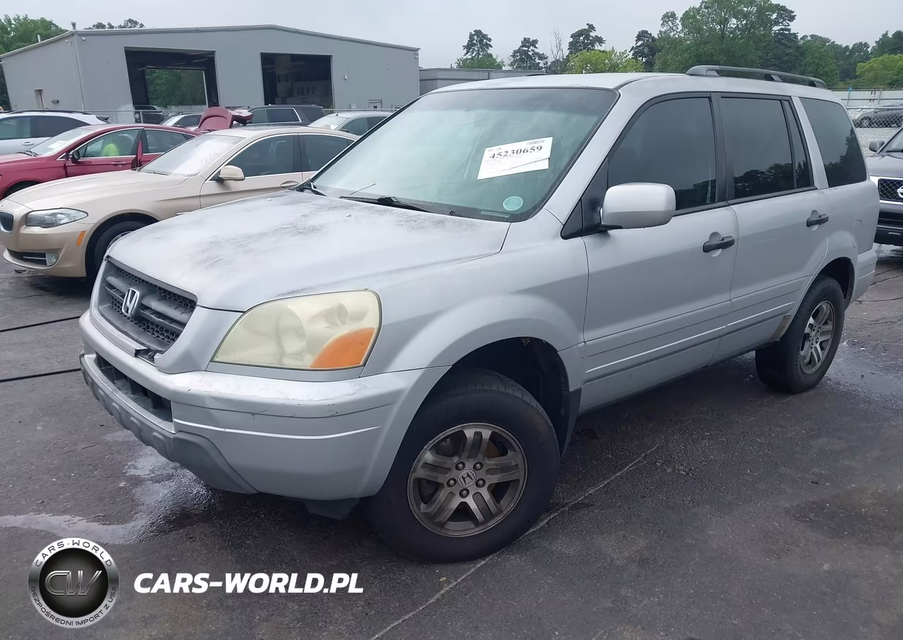2004 Honda Pilot Ex VIN:2HKYF18404H503843 - 2