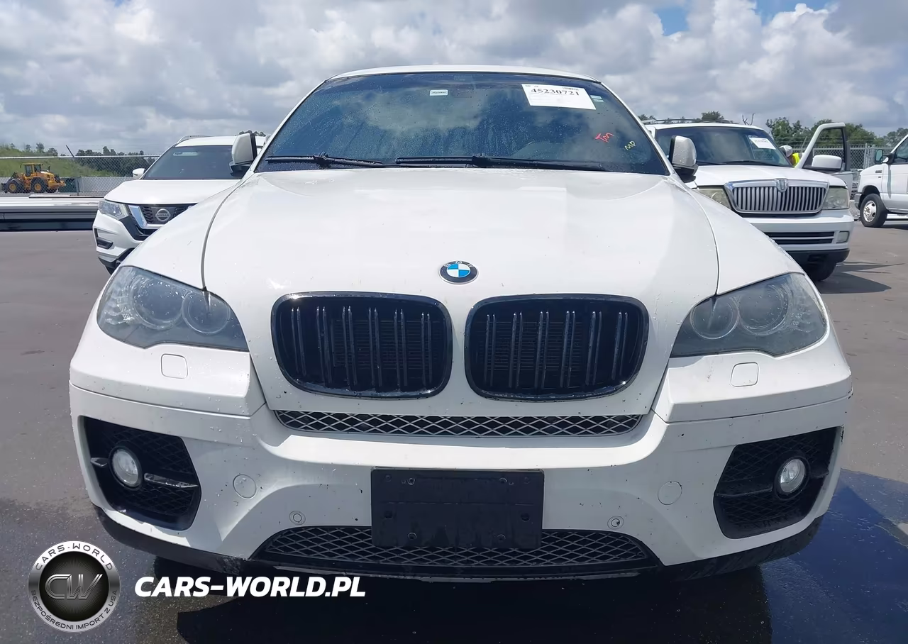 2012 BMW X6 xDrive50I VIN:5UXFG8C53CL590269 - 12