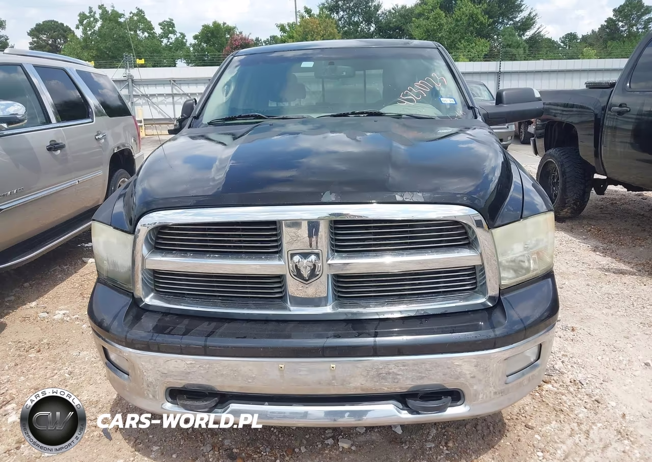 2010 Dodge Ram 1500 Slt-Sport-Trx VIN:1D7RB1GP2AS152349 - 12