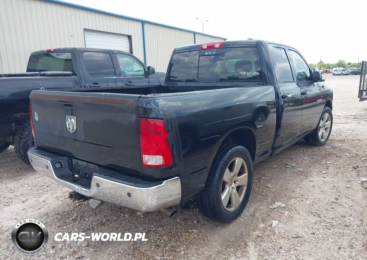 2010 Dodge Ram 1500 Slt-Sport-Trx VIN:1D7RB1GP2AS152349 - 4