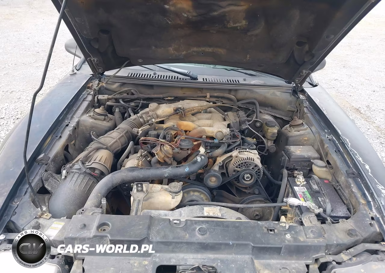 2000 Ford Mustang VIN:1FAFP4044YF281606 - 10
