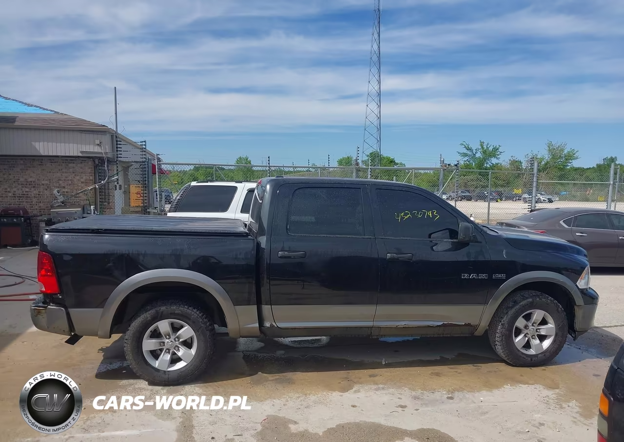 2010 Dodge Ram 1500 Slt-Sport-Trx VIN:1D7RV1CT2AS171462 - 13