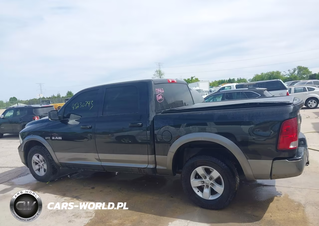 2010 Dodge Ram 1500 Slt-Sport-Trx VIN:1D7RV1CT2AS171462 - 14