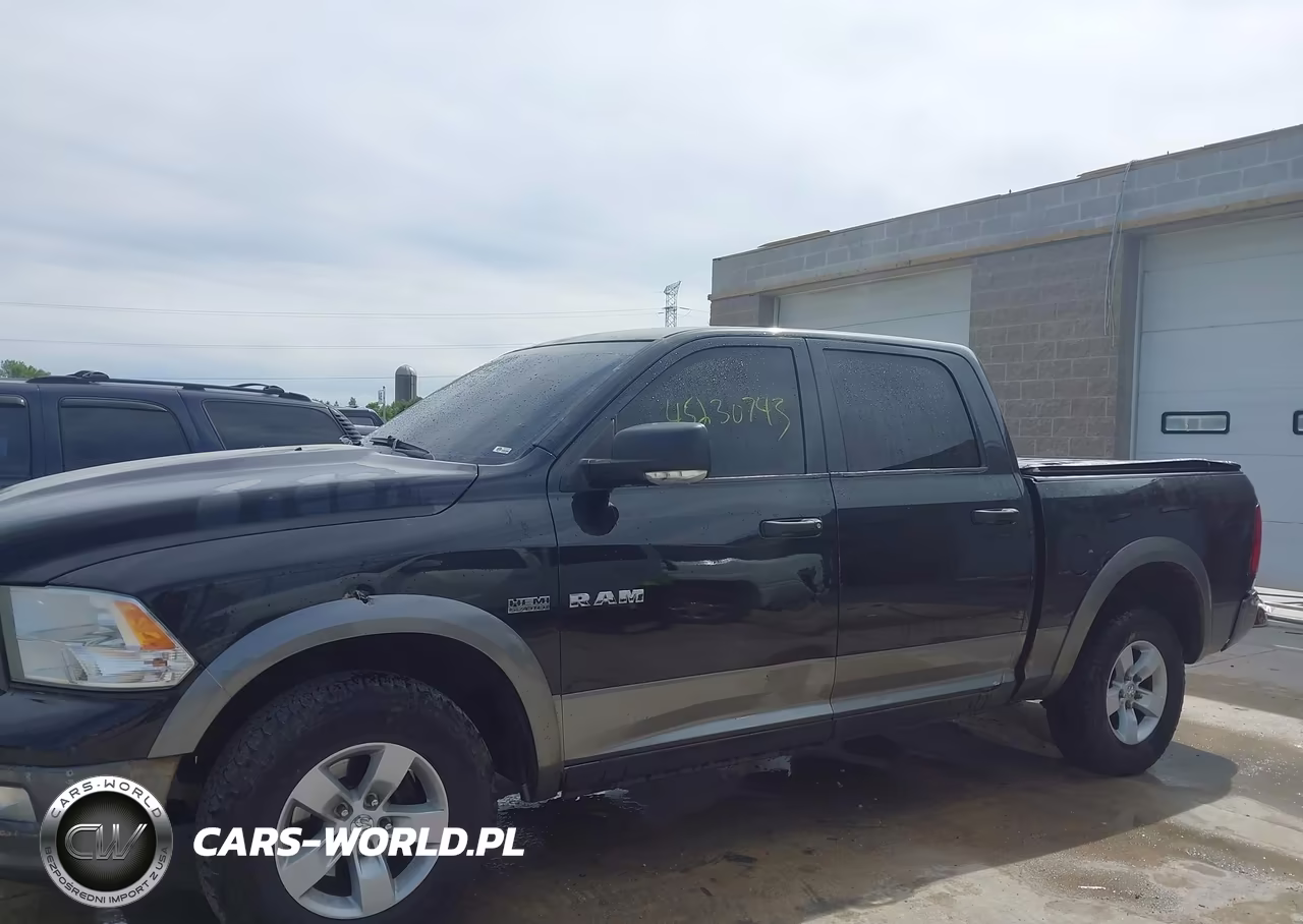 2010 Dodge Ram 1500 Slt-Sport-Trx VIN:1D7RV1CT2AS171462 - 19