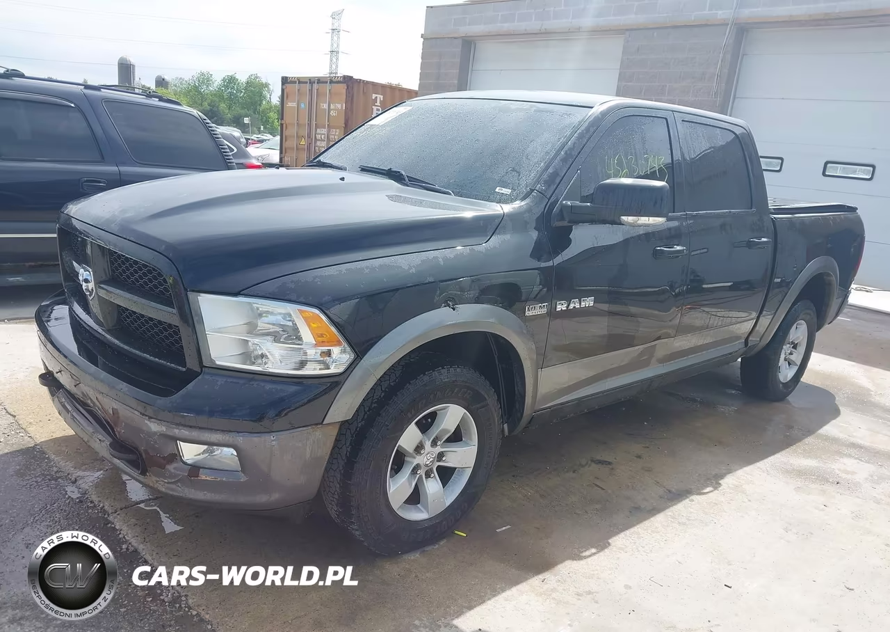 2010 Dodge Ram 1500 Slt-Sport-Trx VIN:1D7RV1CT2AS171462 - 2