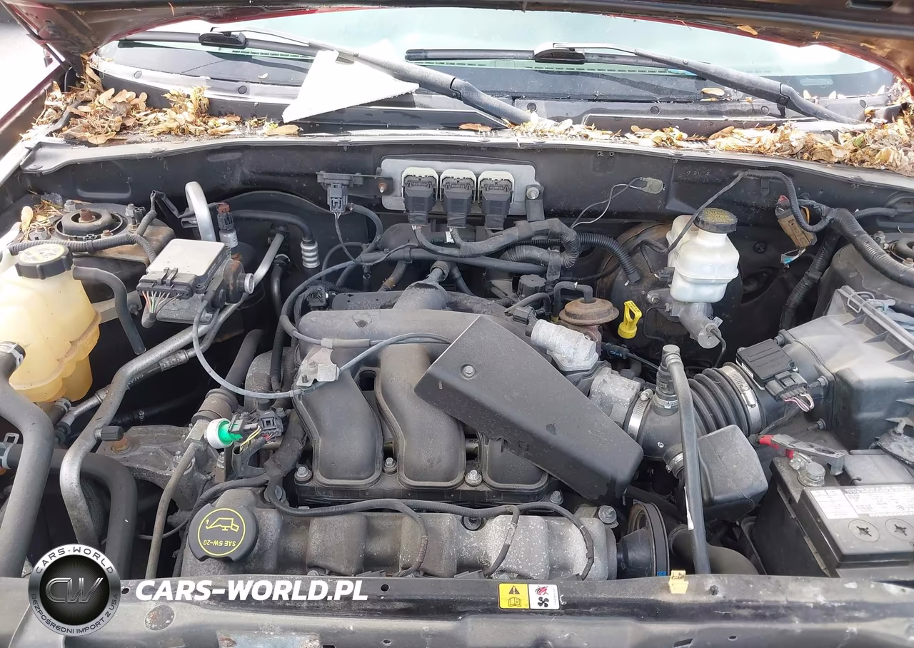 2006 Ford Escape Xlt-Xlt Sport VIN:1FMYU03146KA55734 - 10